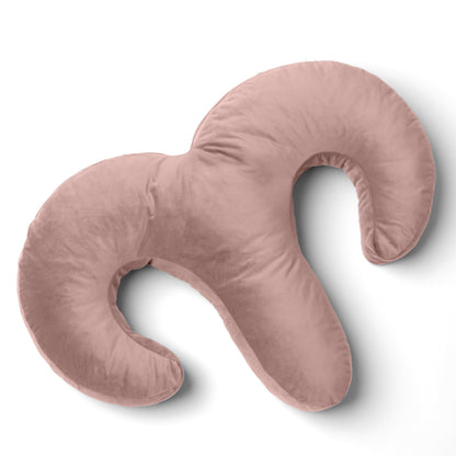 Rose Arie Duo Couples Pillow by Liberator against white background.