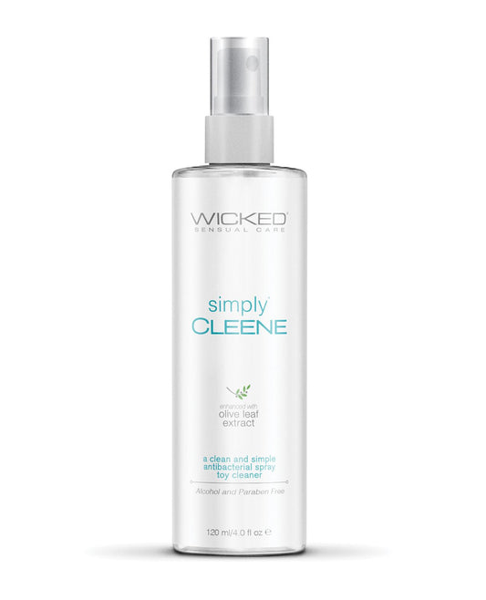 Anti-Bacterial Toy Cleaner - 4 oz